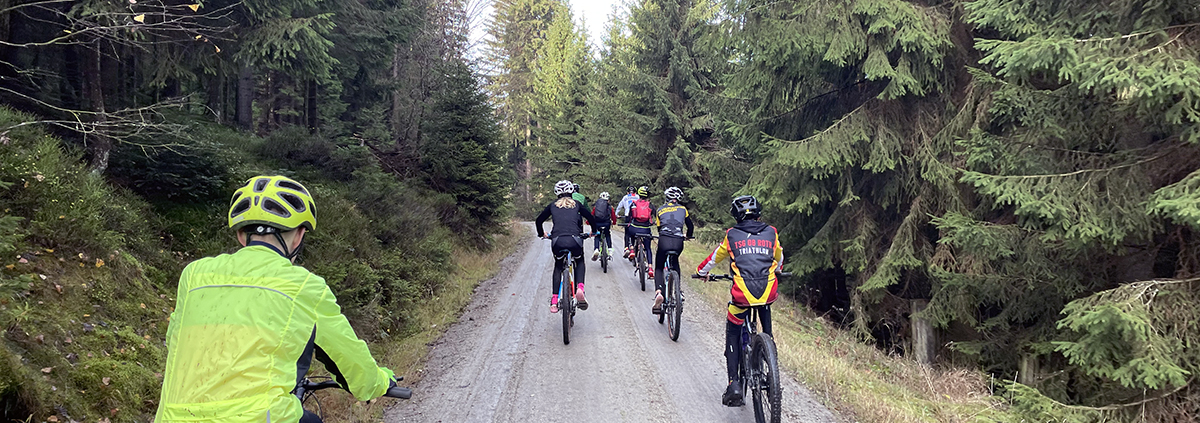 Mountainbikegruppe im Wald
