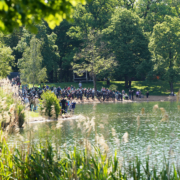 Grüne Natur mit Menschen am Strand