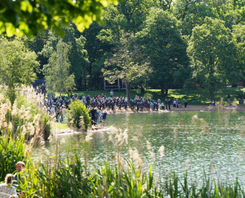 Grüne Natur mit Menschen am Strand