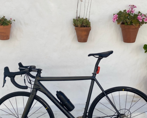 Fahrrad vor Wand mit Blumentöpfen